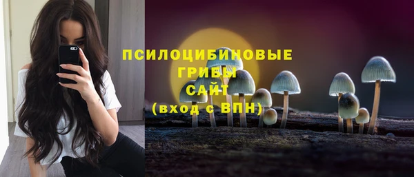 не бодяженный Армянск