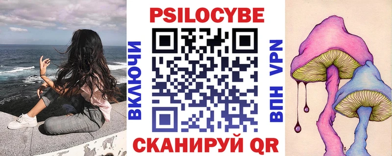 Псилоцибиновые грибы Psilocybe  магазин продажи наркотиков  Багратионовск 